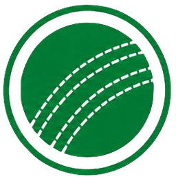 Sports pillar
